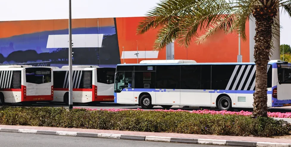 I paid a fortune teller’s bus fare – The note she gave me revealed a terrible secret